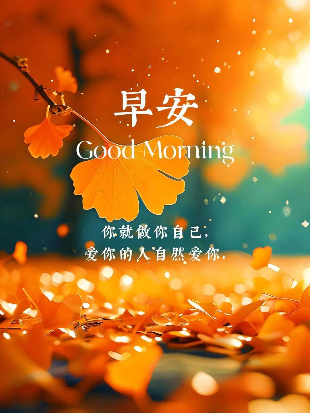 适合早上发的朋友圈正能量短句(早上发朋友圈的正能量的美好句子一)