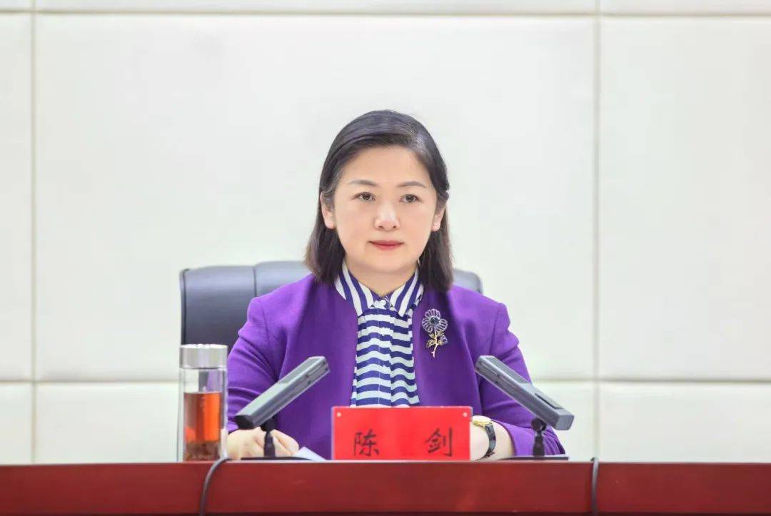 市委常委,宣传部部长陈剑出席会议并讲话