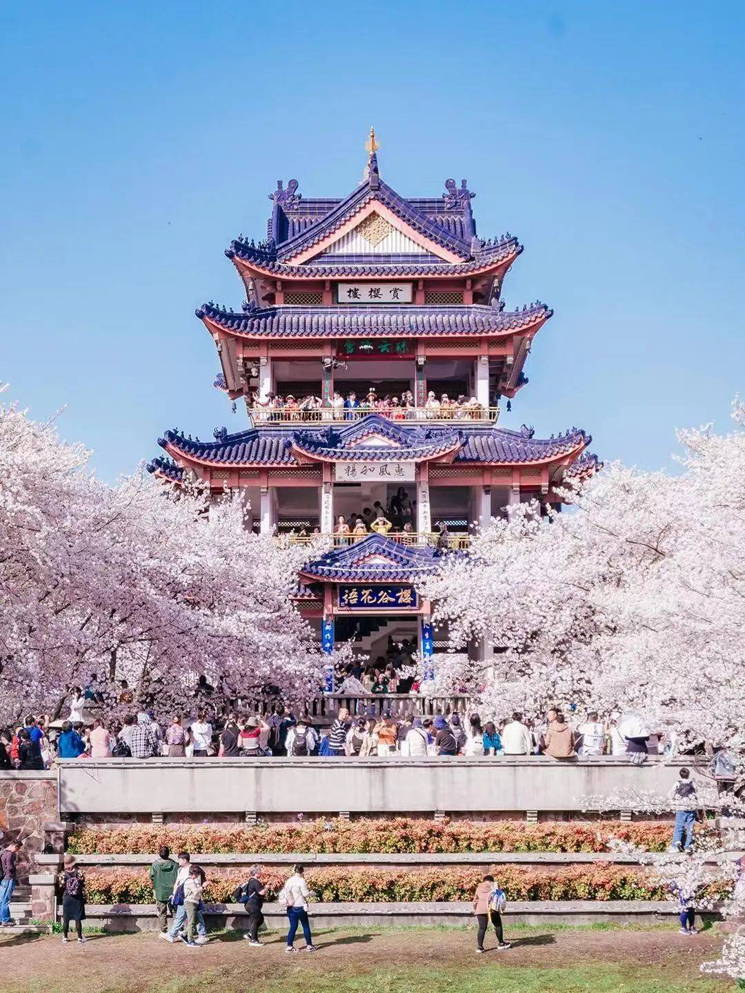 无锡旅游：一座城市的韵味与魅力