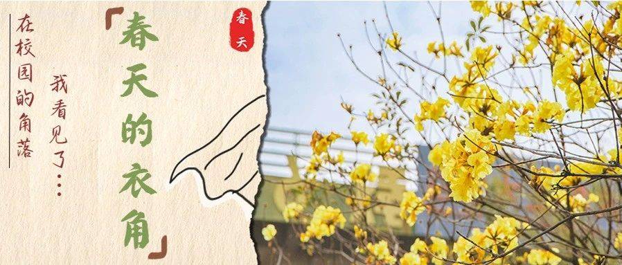 在校园的角落,我瞥见了春天的衣角_天空_望着_支起