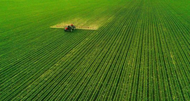 黑龙江省委书记、省人大常委会主任许勤：打造“冰天雪地也是金山银山”忠实实践地