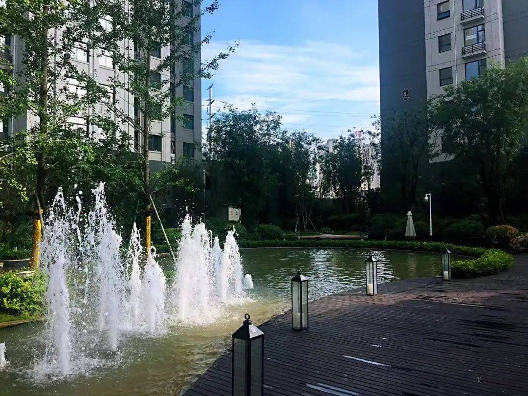 在滨河湾小区,每月一次的"全身保养",每周一次的"例行体检",都是在