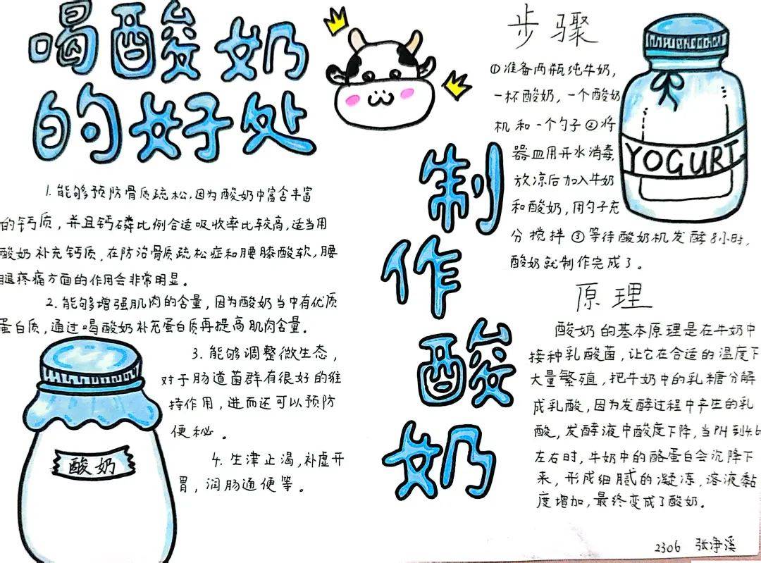 并将其制作原理与步骤绘制成一幅幅精美的手抄报