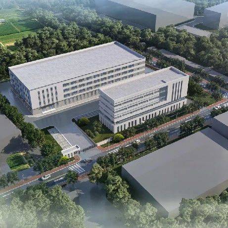 总投资5亿元!西海岸这个项目开工建设→_叶黄素_越橘_海洋