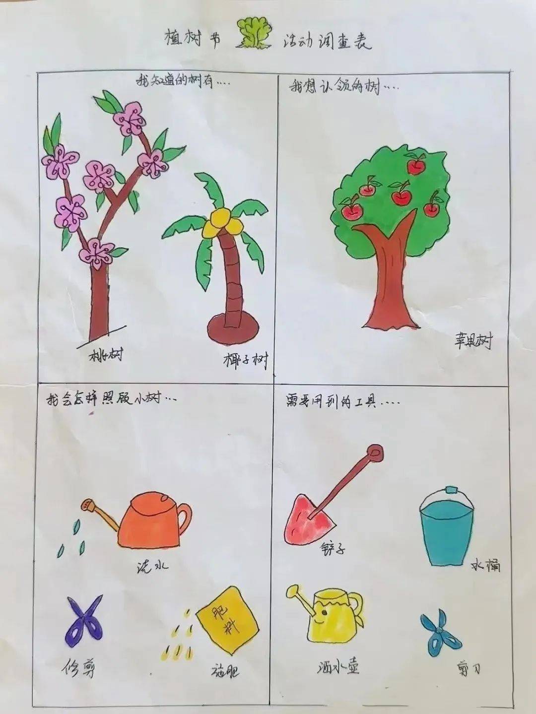 植树,从认识一棵树开始!