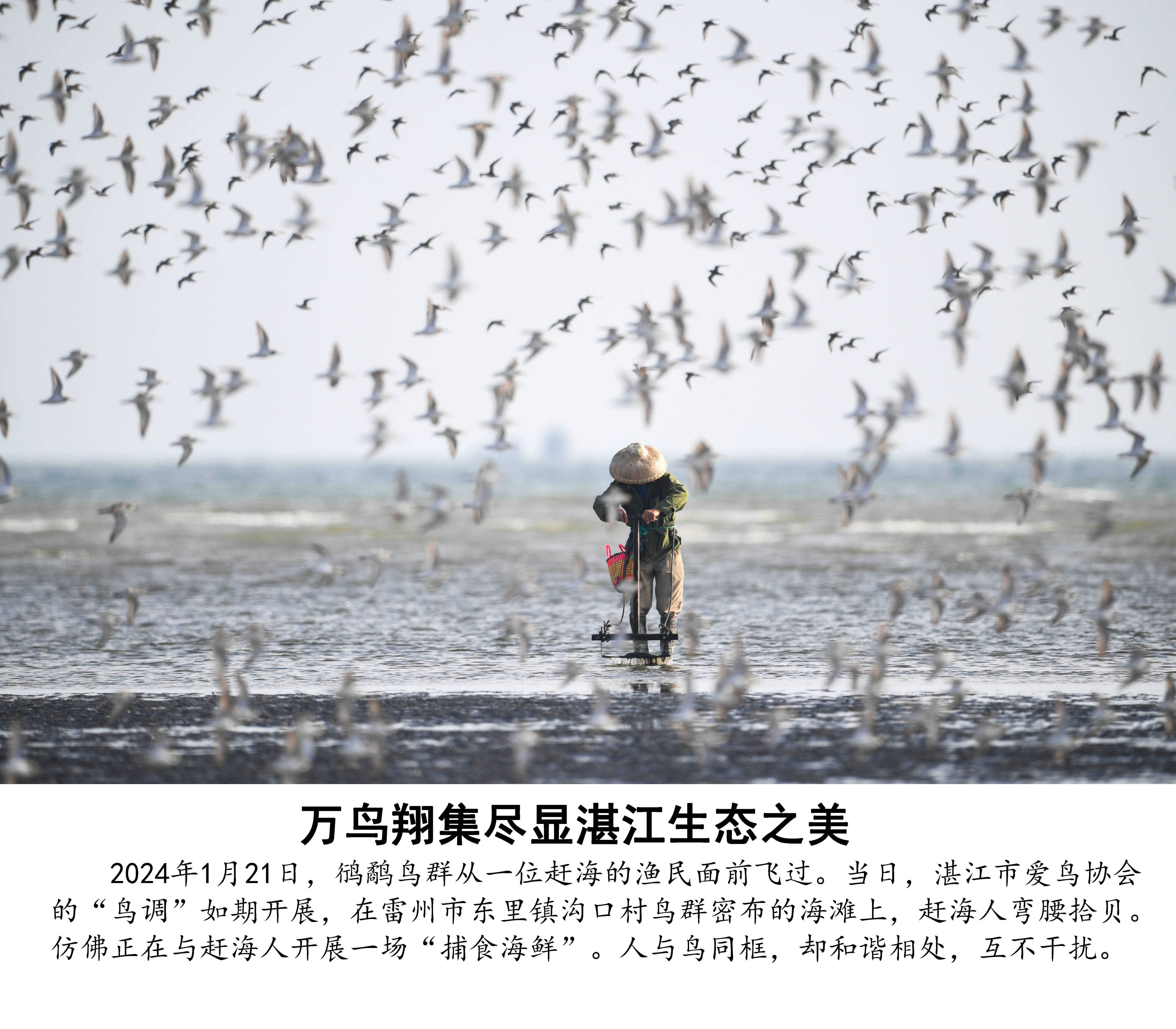 三个人做项目效率翻倍引关注，团队管理新策略获热议，技术赋能带来质变，行业标杆案例值得借鉴