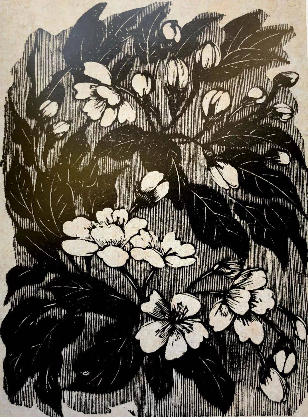 黄永玉:黑白木刻 75幅经典版画欣赏