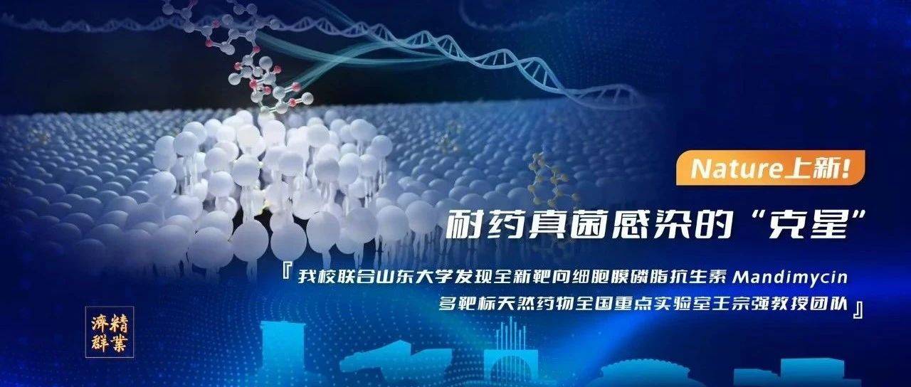 Nature+1!我校王宗强教授团队发现耐药真菌感染“克星”_药物_研究_微生物