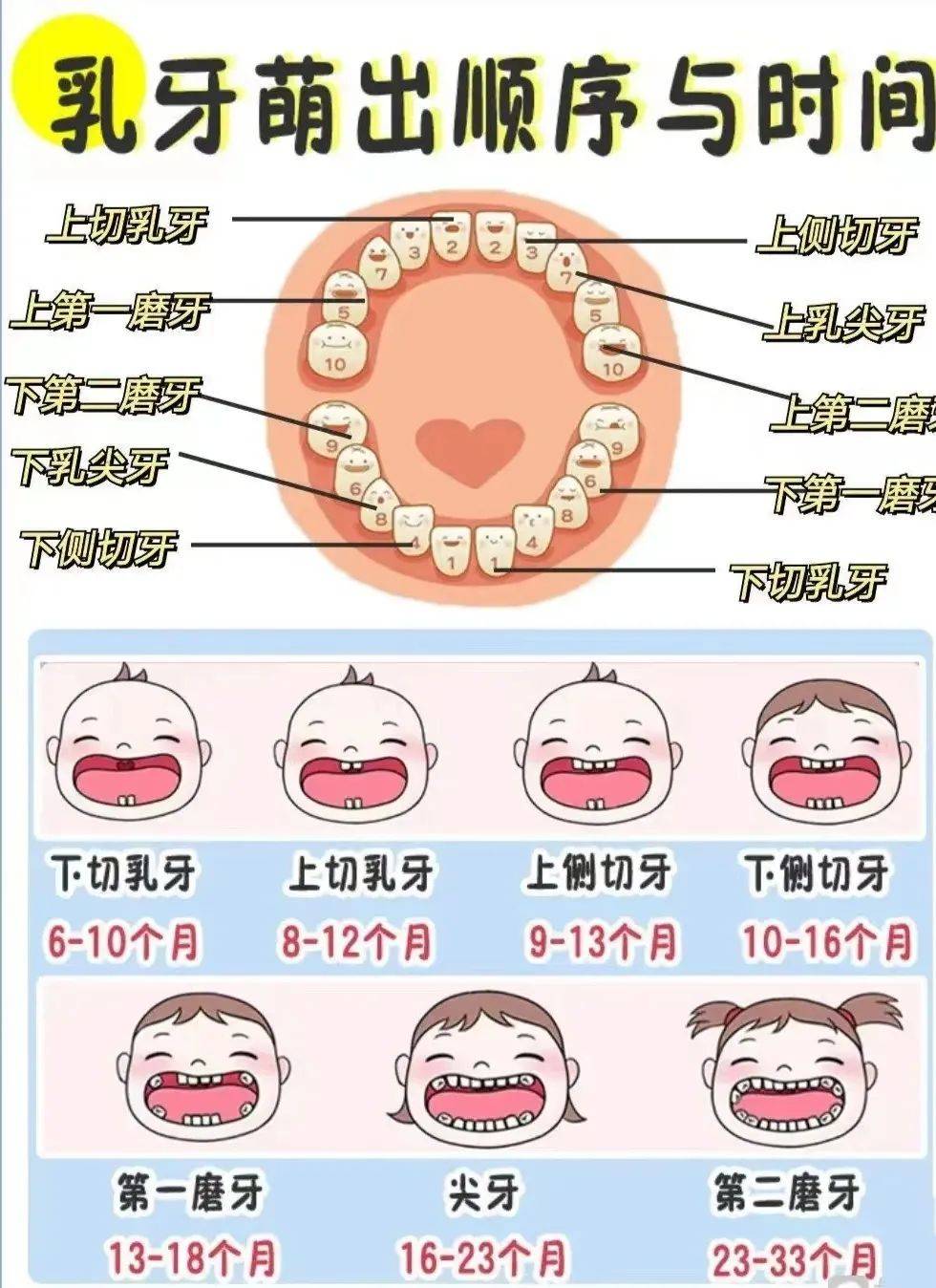 4.儿童口腔习惯:及