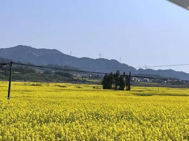 边挖野菜边相亲这届年轻人花99元当“王宝钏”(图7)