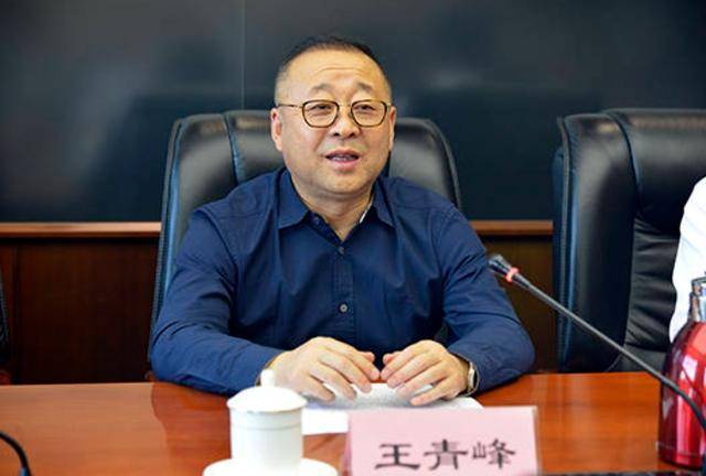 商洛市长王青峰已获提名为陕西省发改委主任人选