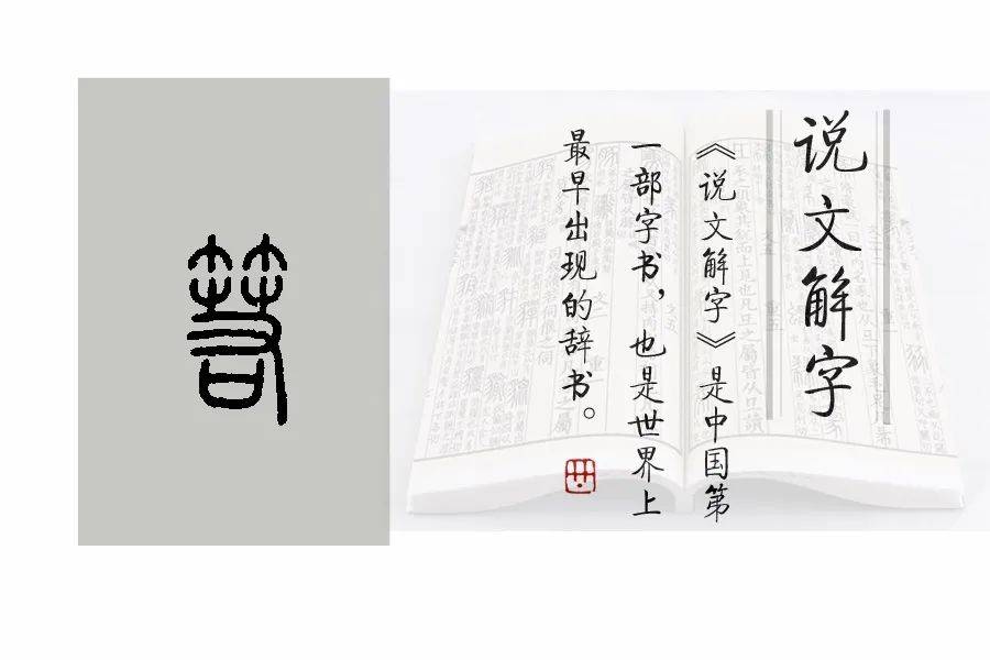 《说文解字》第934课：“箬笠”的“箬”是啥意思？