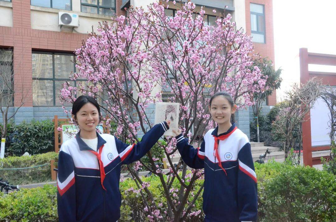 枣庄路小学▲东港区石臼小学▲后村镇中心初中▲东港区第三小学▲秦楼