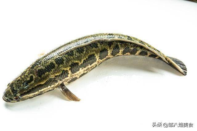 清明时节：中老年必知的饮食与行事禁忌，清明前后，这3鱼4事，中老年人和家人都要懂！