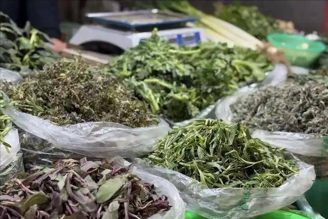 莫让野菜变“毒药”，食用细节需留意
