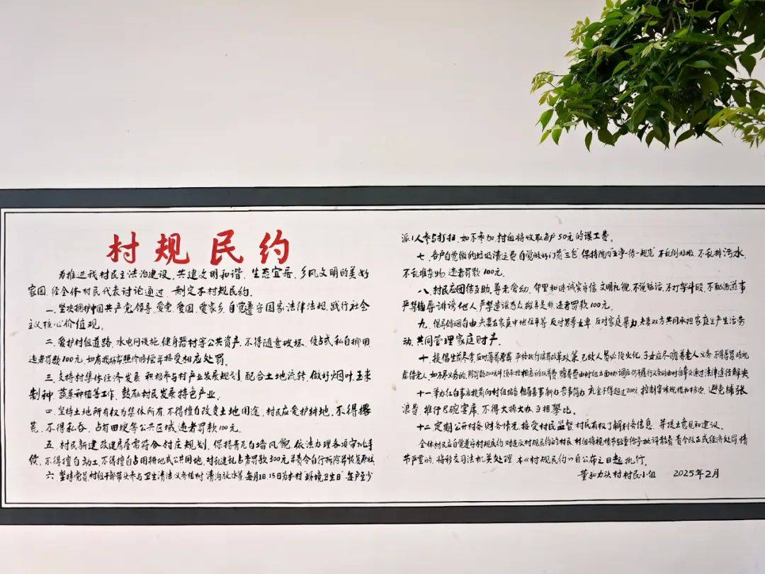 新街镇董和村:村规民约"约"出治理新格局