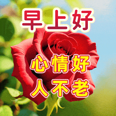 今日特别漂亮的早上好问候说说图片 微信早安祝福动态图片带字