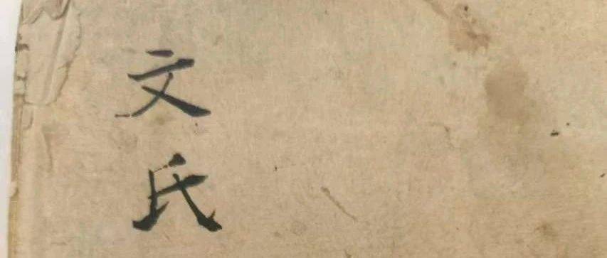 文氏家谱 | 山东省临沂市兰山区文氏族谱_世祖_公文_文家