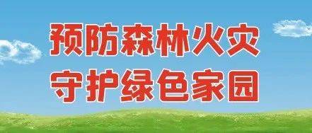 野外用火 切莫侥幸 驮卢镇关于近期因违规野外用火引发山火的案例警示_调查_规定_火灾