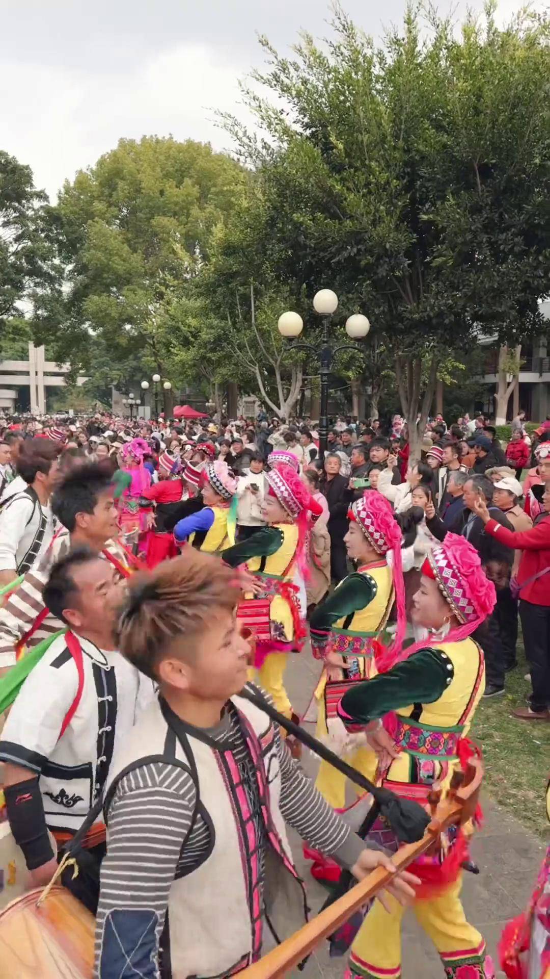 国家级非物质文化遗产"阿细跳月",大年初二阿细族人相约庆来公园跳月