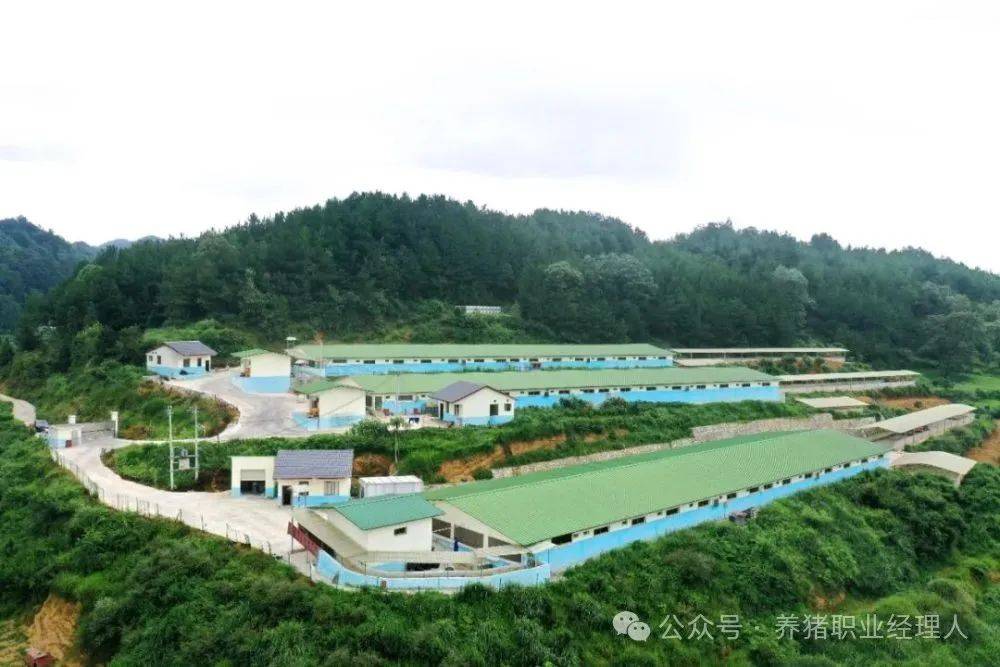 合作家庭农场百年温氏再起航:共创乡村振兴美好未来在实现农业农村