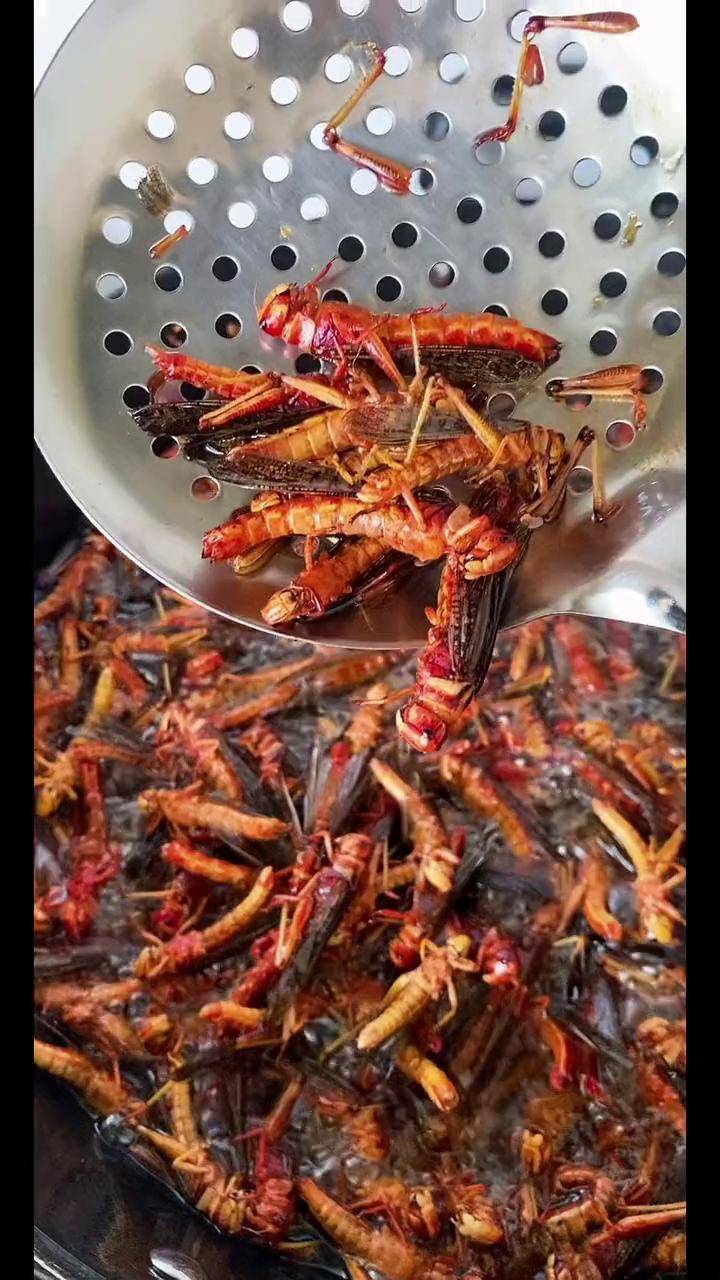 真材实料才能做出好味道 昆虫美食 油炸蚂蚱高蛋白