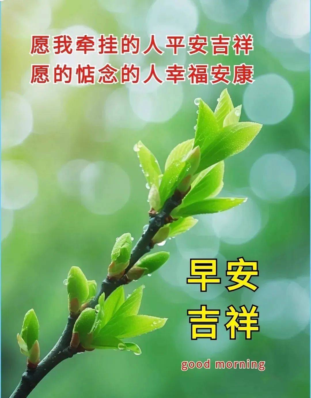 4月6日早上好祝福语最新早安图片祝福每天送上问候表达我的心愿让
