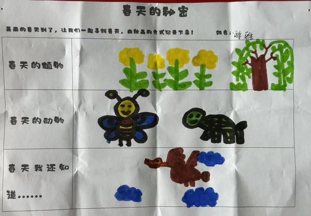 【园本活动】春天的秘密