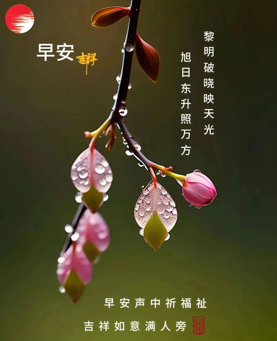 4月12日最新早上好祝福图片最暖问候语,美好的清晨象征着希望,为我们
