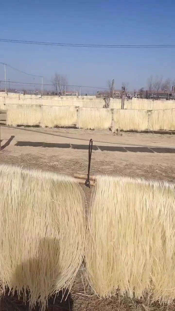 年后晒了十几场粉条了,村里人问你把粉条都卖到哪了天天晒,我每天抖音
