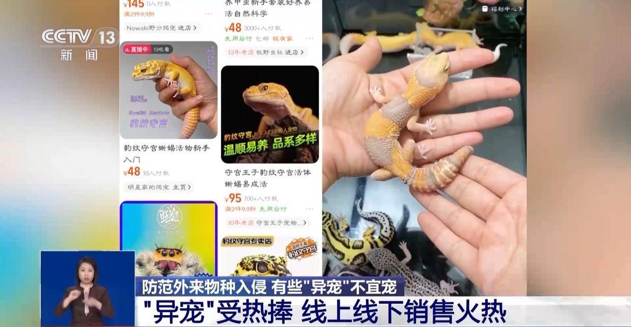 有些“异宠”不宜宠 专家:购买饲养前要做到“三查”_物种_入侵_海关