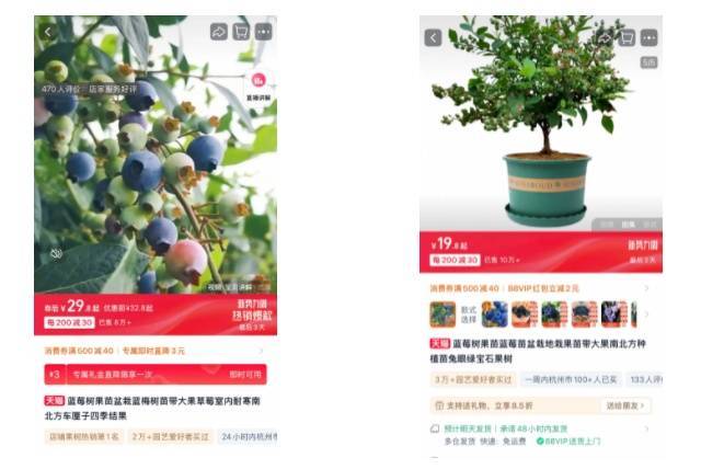 M6米乐入口蔬菜盆栽成“春季爆品”月卖60000盒(图4)