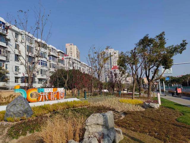 让绿色更贴近市民生活浦东不断推进口袋公园建设(图7)