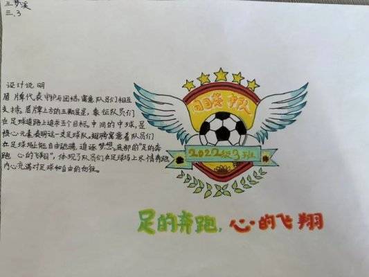 淄博市博山区四十亩地小学开展班级足球队徽设计活动