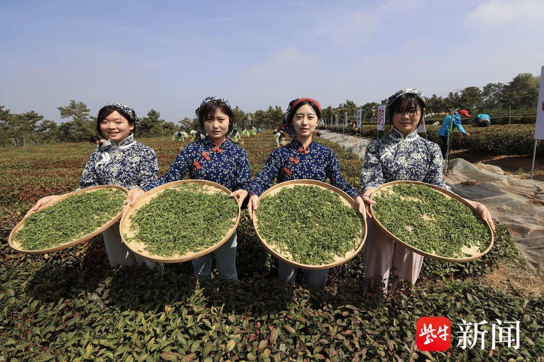 OB电竞下载连云港赣榆举行第八届徐福茶开茶节(图1)