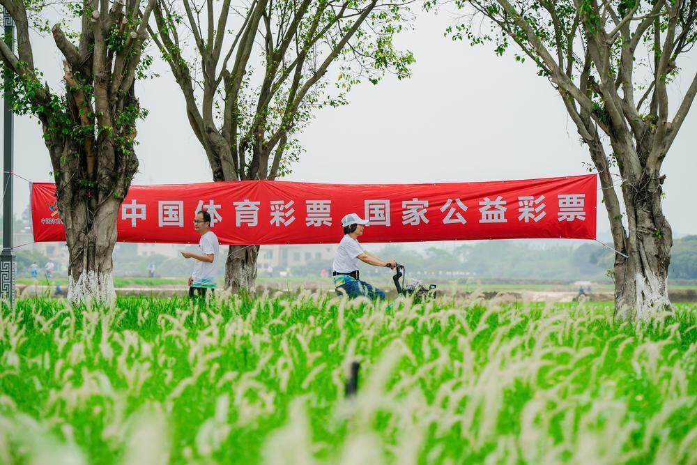 体彩助力2025年广州从化骑行活动 近千人在“山水画”中穿行(图1)