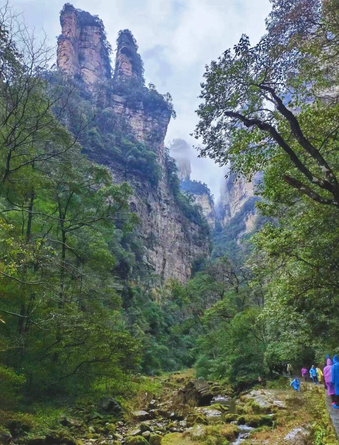 天津当地旅游团报价多少钱(天津当地旅游团报价多少钱一天)