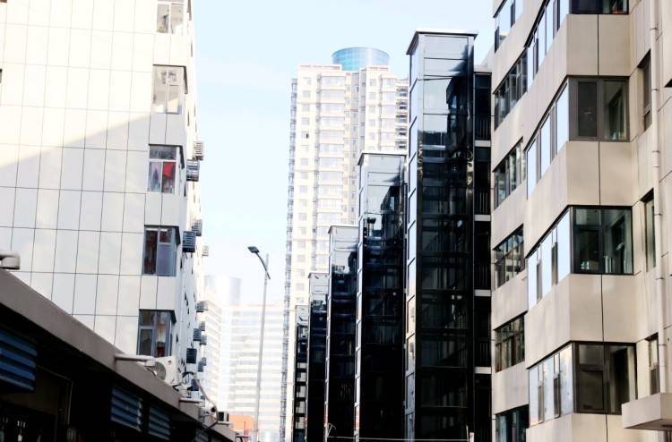 全域绿化转型 勾勒生态必赢入口宜居新图景——陕西府谷县生态文明建设纪实(图3)