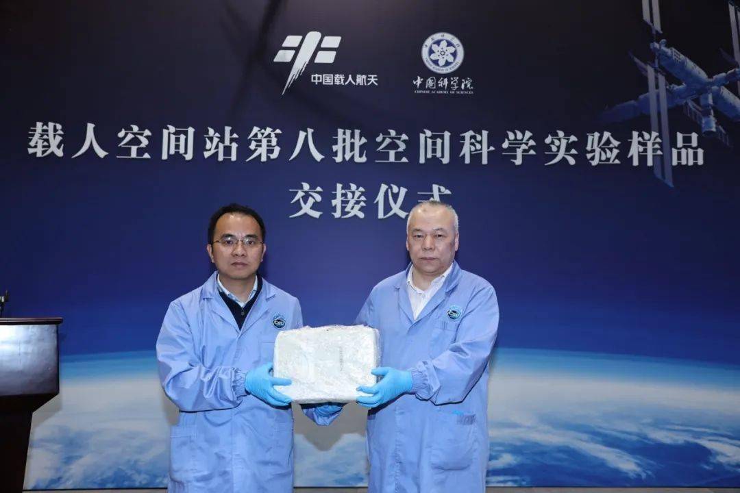 我国首次验证空间站 3D 活细胞样本在轨长期保存技术
