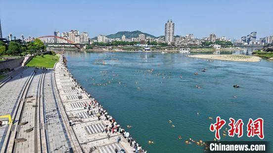 四川宜宾横渡长江挑战赛：3000名游泳爱好者共襄盛举