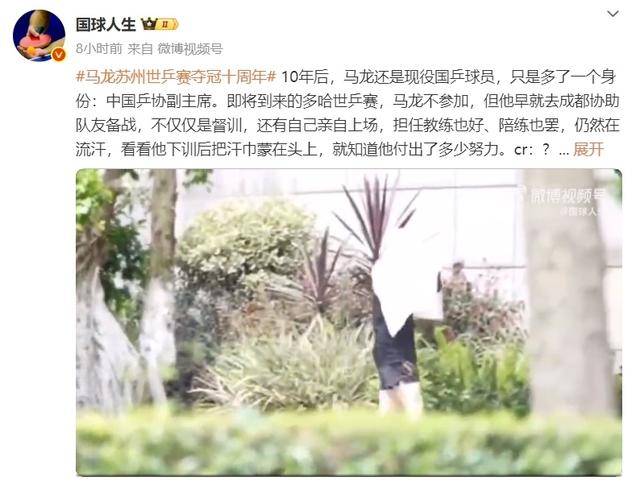 马龙成都集训幕后：从赛场传奇到乒协副主席的华丽转身