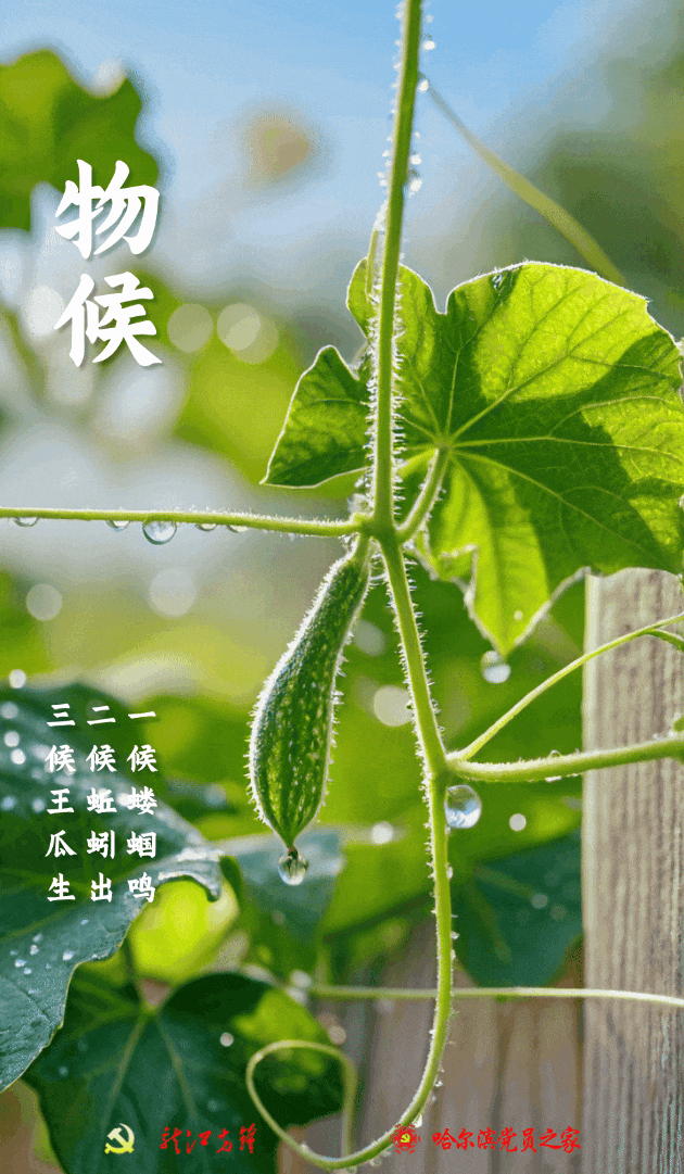 立夏 | 四时天气促相催 一夜薰风带暑来
