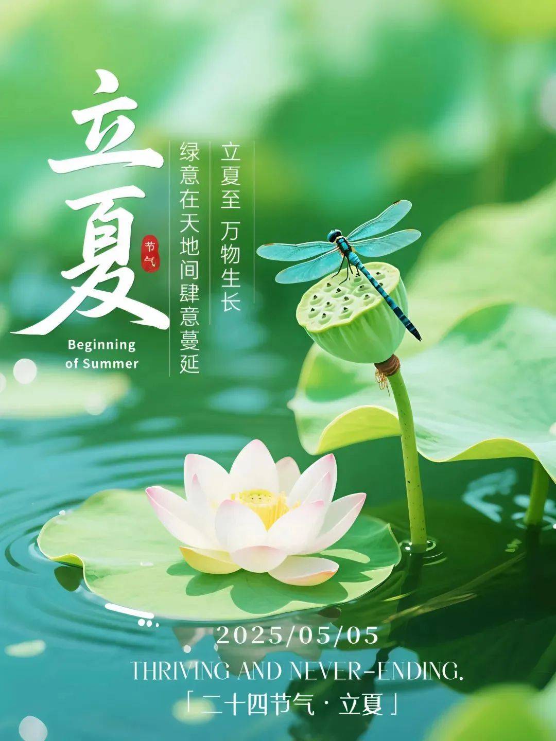 立夏早上好图片大全,今天最新版祝福高清大图