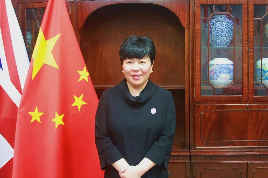 公开资料显示,陈雯曾任外交部欧洲司二秘,副处长,处长