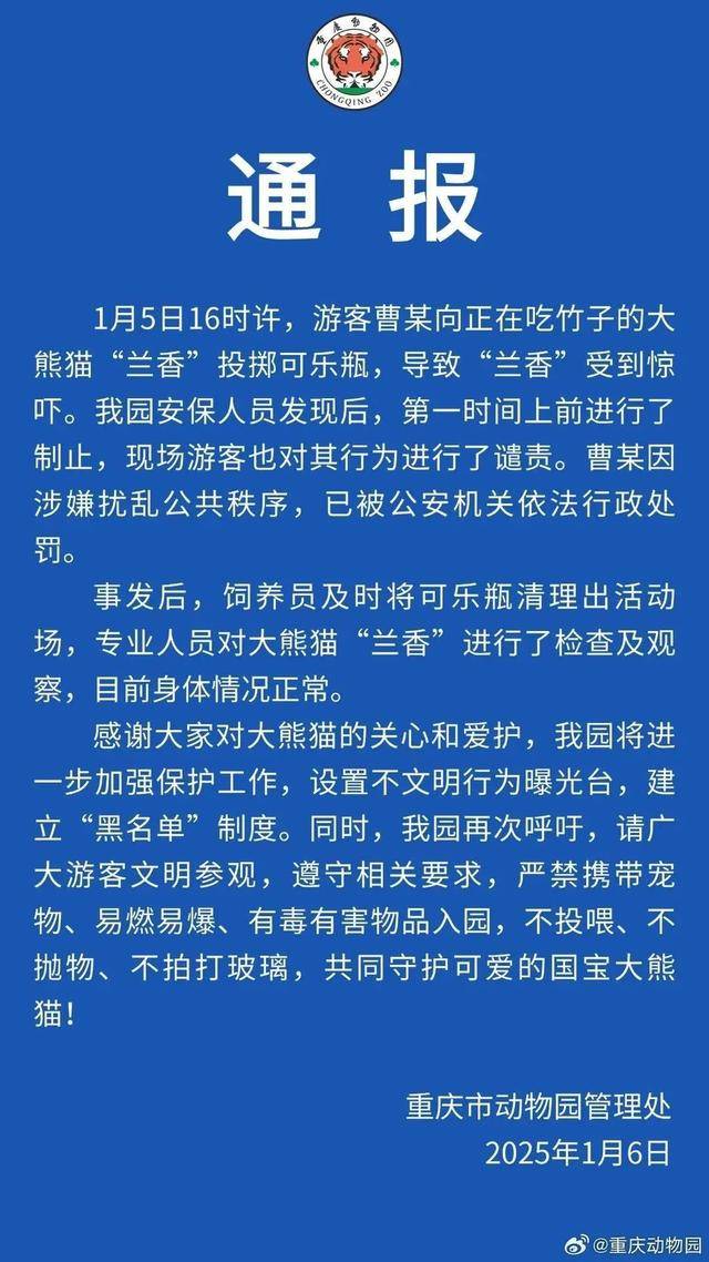 _熊猫玻璃介绍_熊猫玻璃杯叫什么牌子