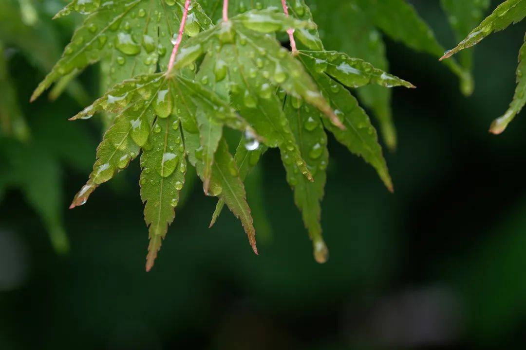 预警升必博官网级地区抚顺大风(图2)
