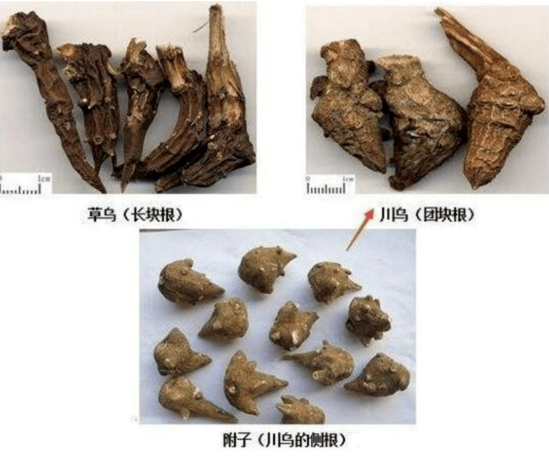 警报！药物酒精成为“有毒酒精”，您应该知道