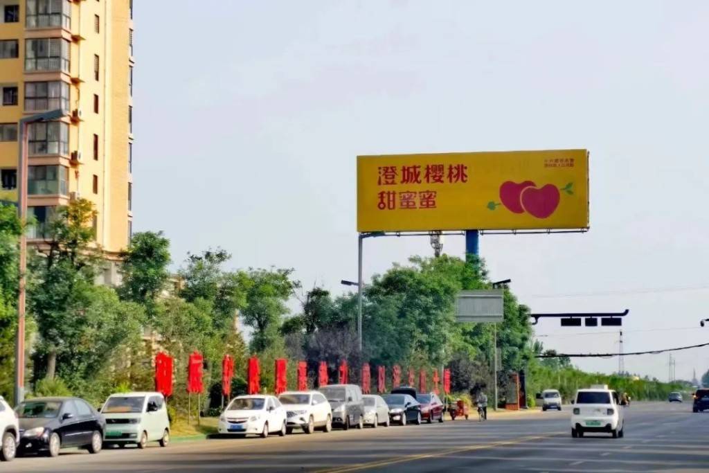 陕西澄城打造“中国樱桃第一县”：从黄土高原走向海外年产值超30亿开云体育入口(图4)