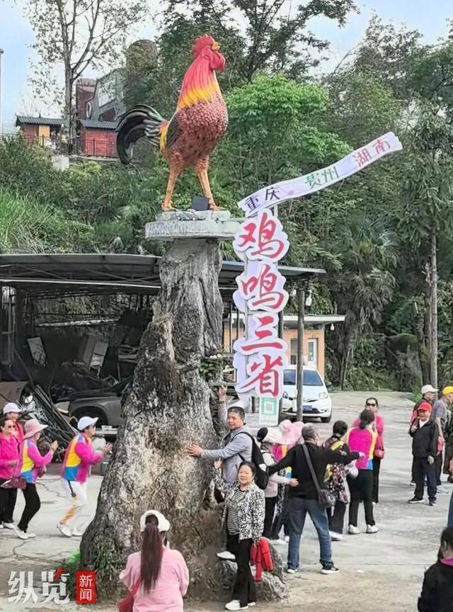 贵州一农家乐“扫码闻鸡鸣”被“恶搞”单日德信体育官网900多人远程扫码致“鸡叫”不停(图1)