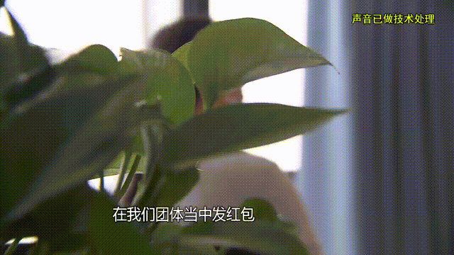 37岁痴情女子倾尽百万泡面果腹仍坚持转账：帮他有种使命感（痴情女人）